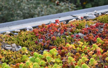 the cost of Bowithick green roof installation