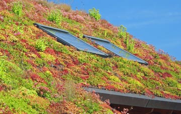 Bowithick living roof systems