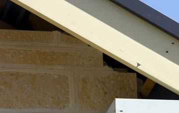 soffit repair Bowithick